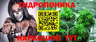 гидра Владикавказ