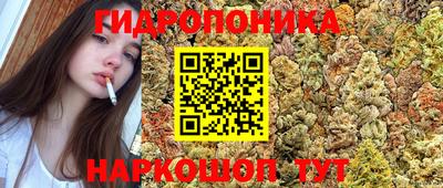 гидра Владикавказ