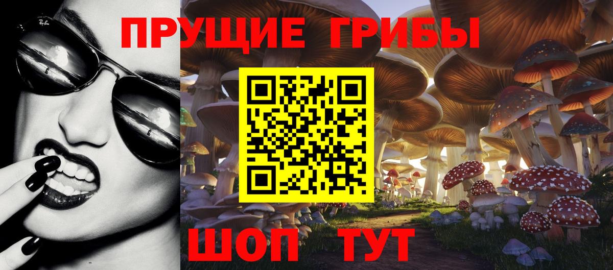 Галлюциногенные грибы Cubensis Вольск
