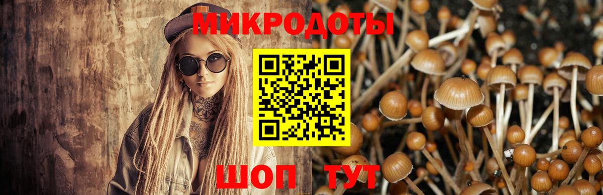 Галлюциногенные грибы MAGIC MUSHROOMS  Псилоцибиновые грибы Magic Shrooms  Вольск  Вход с VPN 