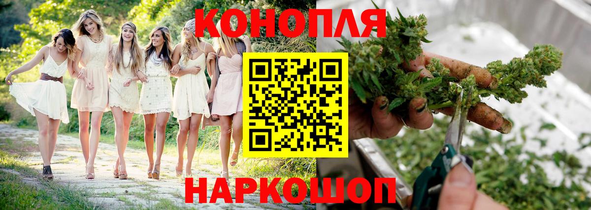 Каннабис план Вольск